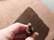 BUCHBINDER Hübscher kleiner